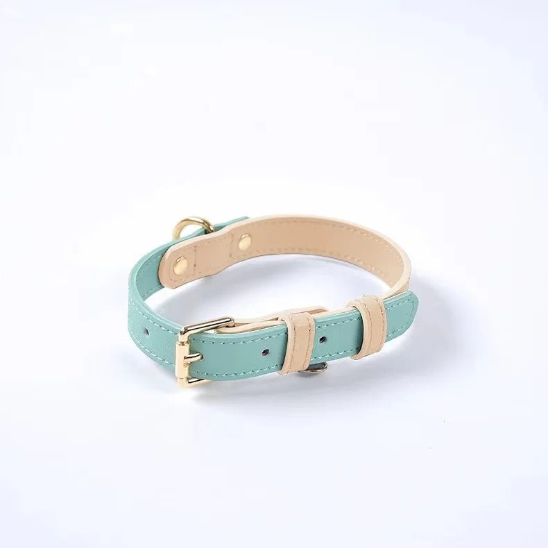 Teal & Beige Luxe Leather Collar